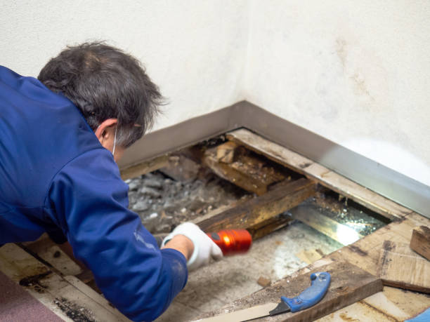 Best Post-Remediation Services in Deadwood, SD