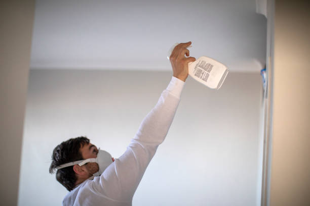 Best Commercial Mold Remediation in Deadwood, SD