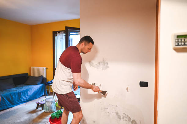Best Mold Testing and Inspection Services in Deadwood, SD
